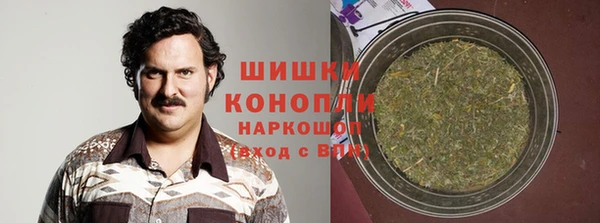 амф Пестово