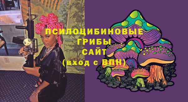 spice Абаза