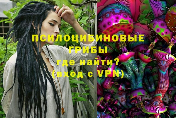 spice Абаза