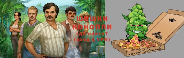 spice Абаза