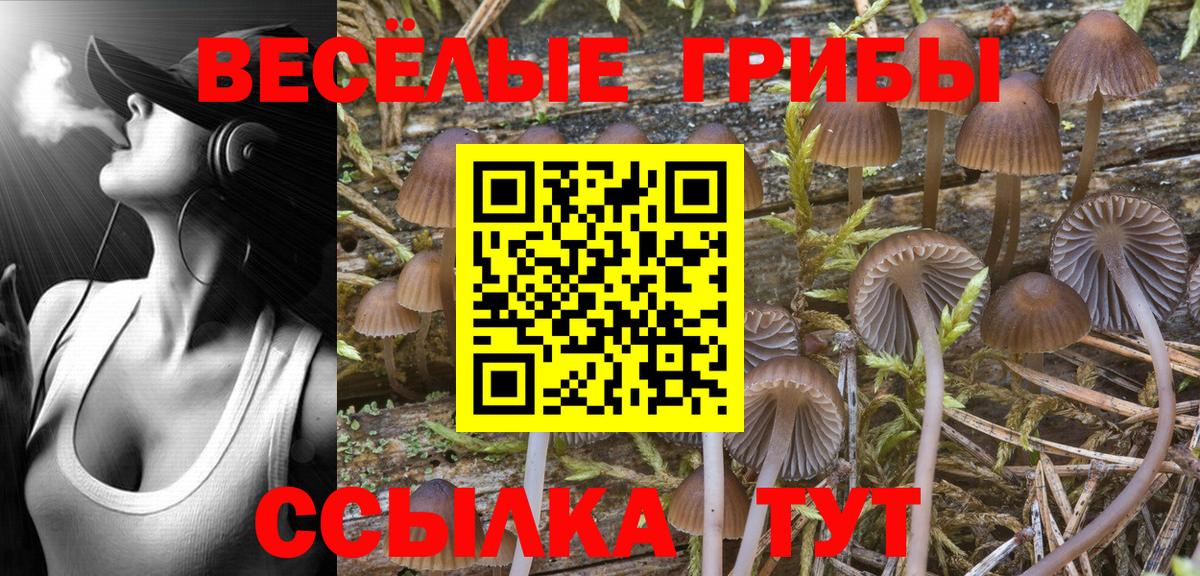 Гагарин  Псилоцибиновые грибы MAGIC MUSHROOMS  Вход с VPN 