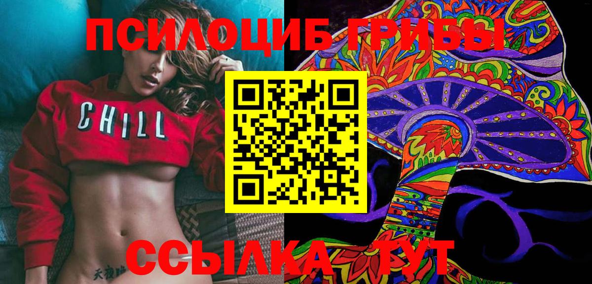 Псилоцибиновые грибы Psilocybine cubensis Гагарин