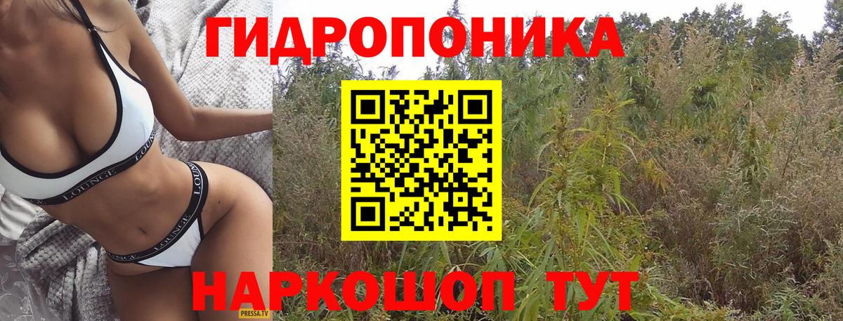 Каннабис Amnesia Гагарин